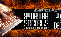 3rd Degree Secrets Blog Tour: Review + Giveaway!