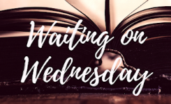 Waiting on Wednesday #26: Odd & True by Cat Winters