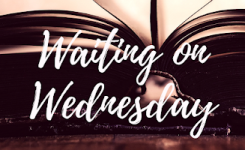 Waiting on Wednesday #39: Winter Glass by Lexa Hillyer